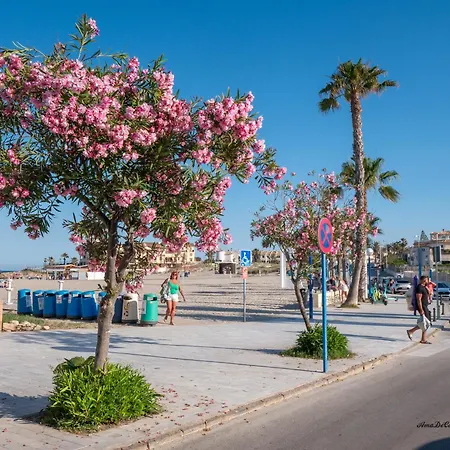 La Calma - Punta Prima Lägenhet *